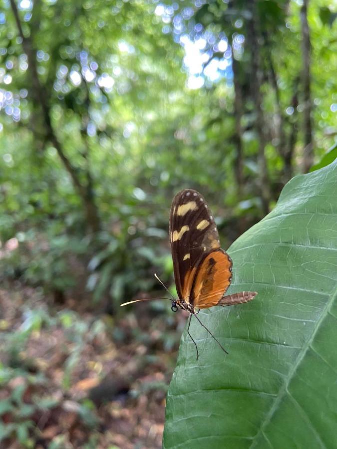 Gambas Lodge La Fortuna Buitenkant foto