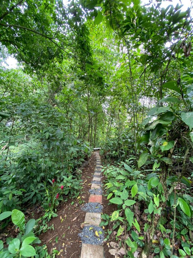 Gambas Lodge La Fortuna Buitenkant foto