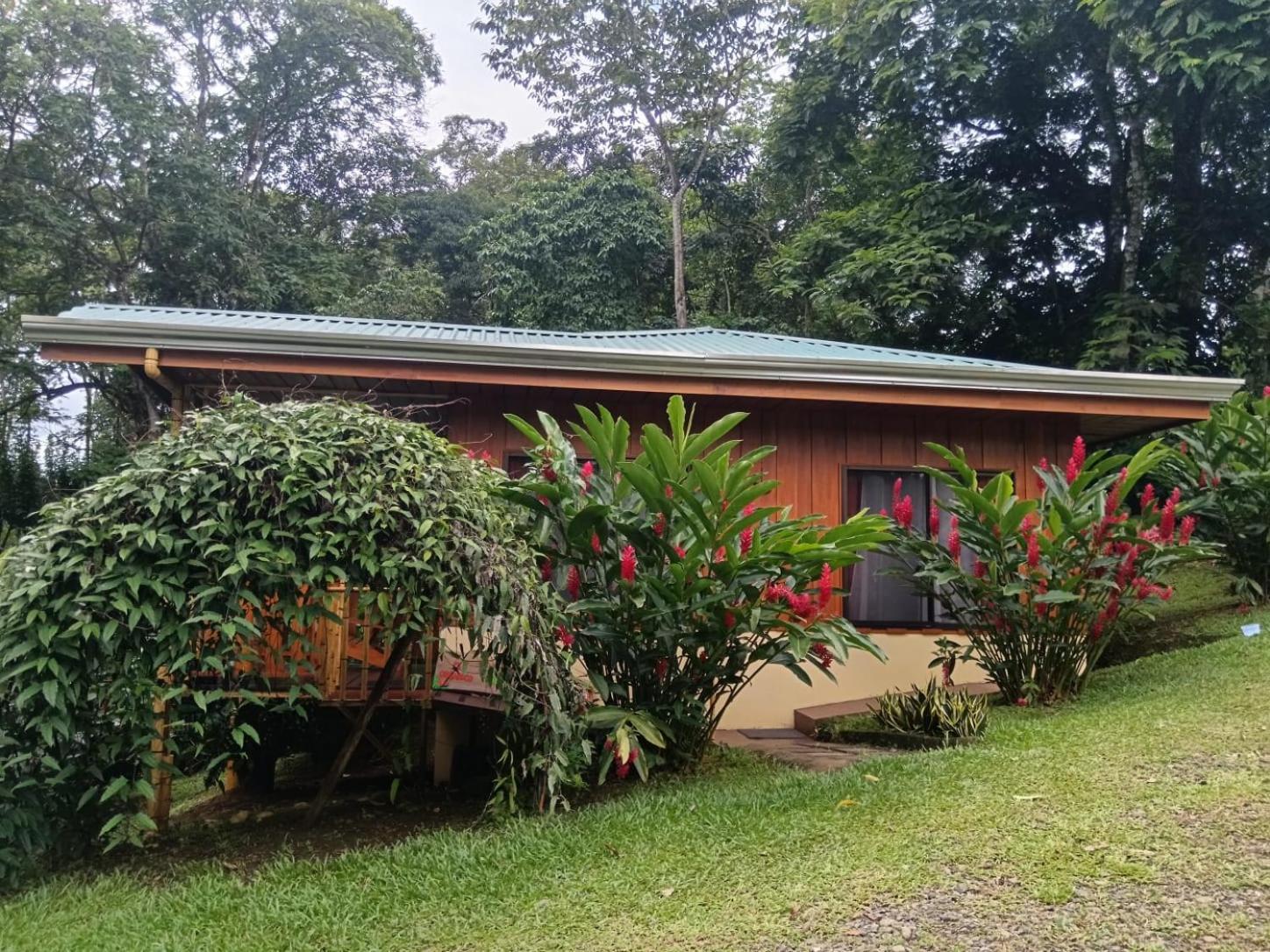 Gambas Lodge La Fortuna Buitenkant foto