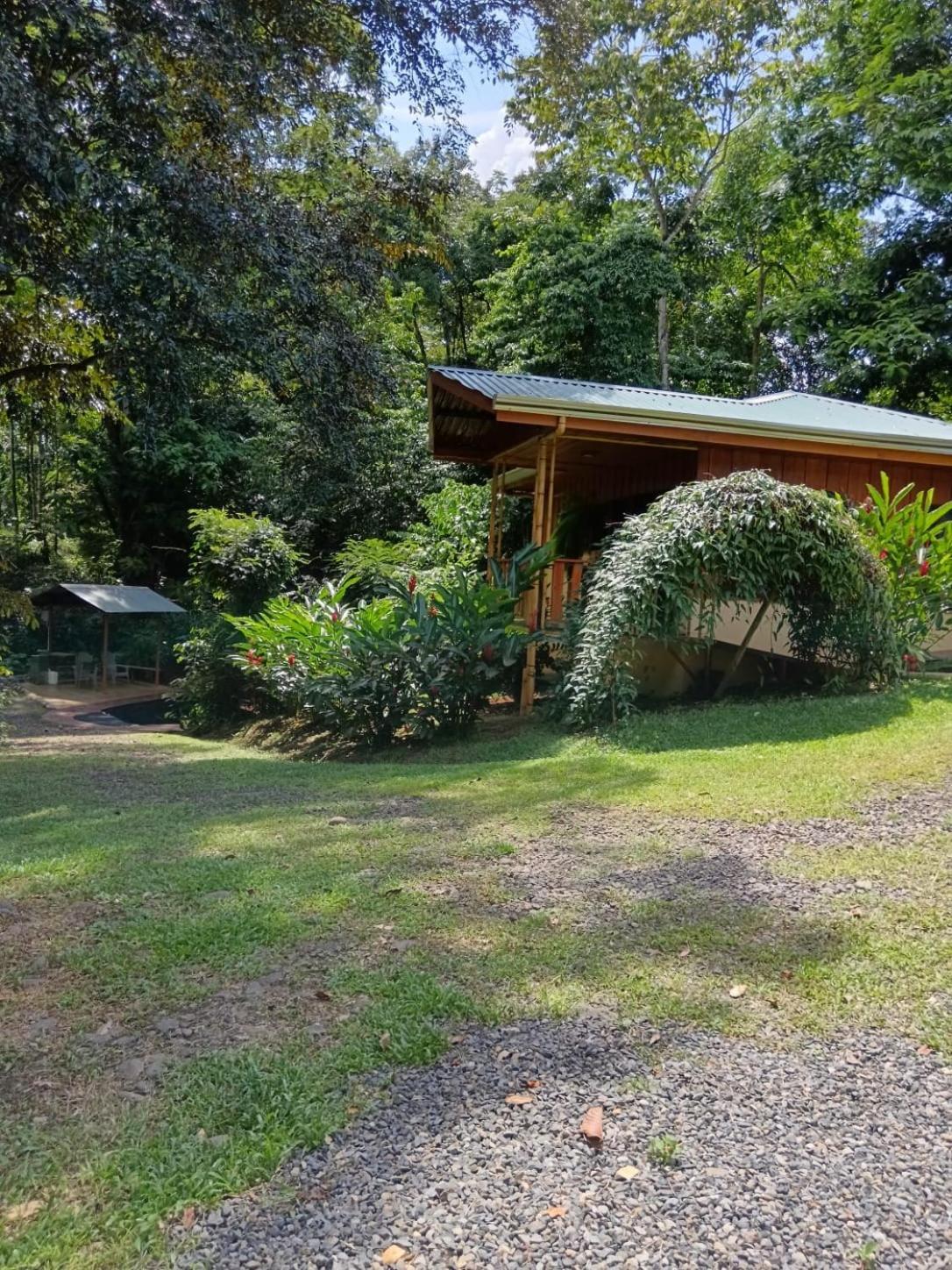 Gambas Lodge La Fortuna Buitenkant foto