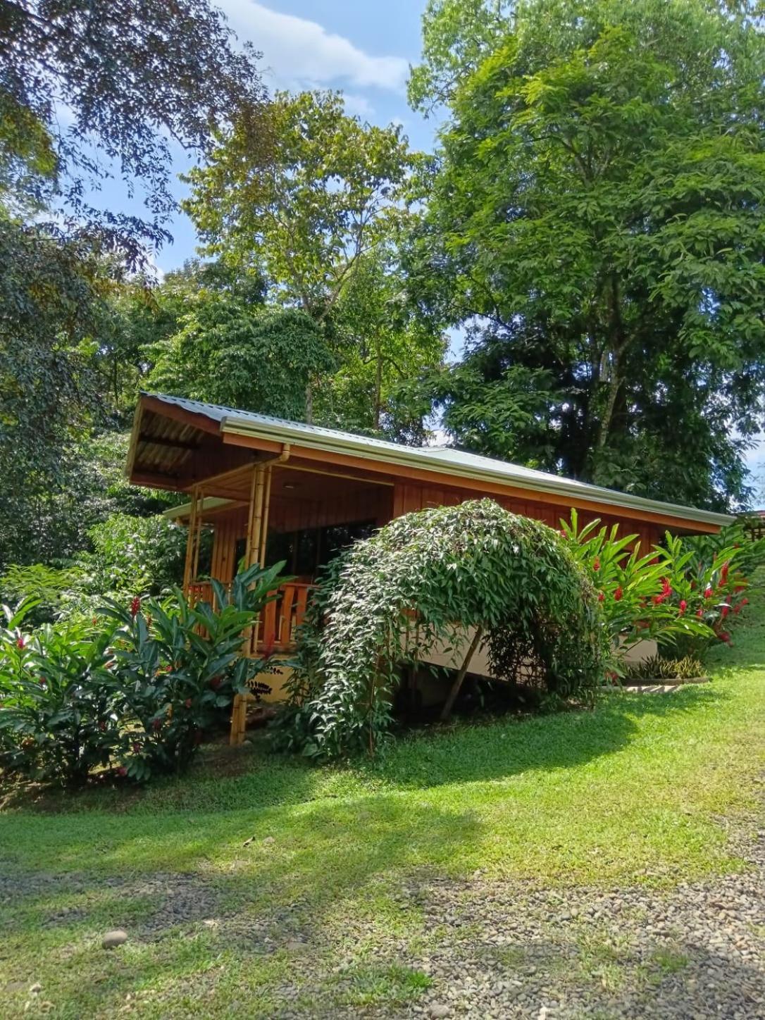 Gambas Lodge La Fortuna Buitenkant foto