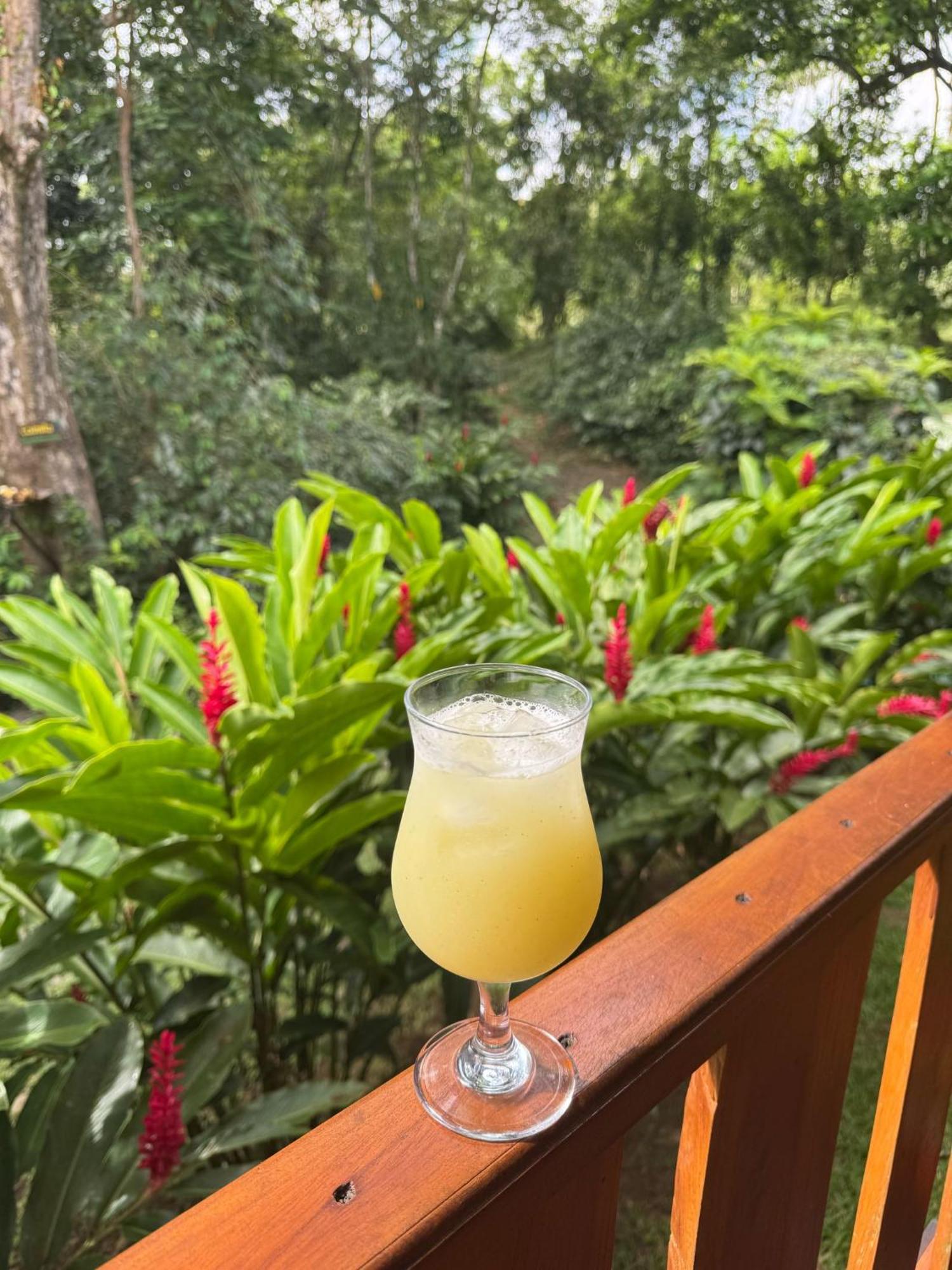 Gambas Lodge La Fortuna Buitenkant foto